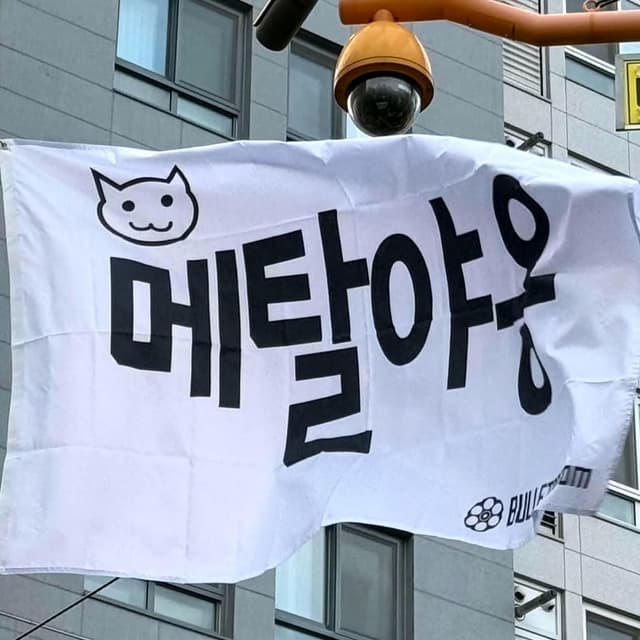 메탈 야옹