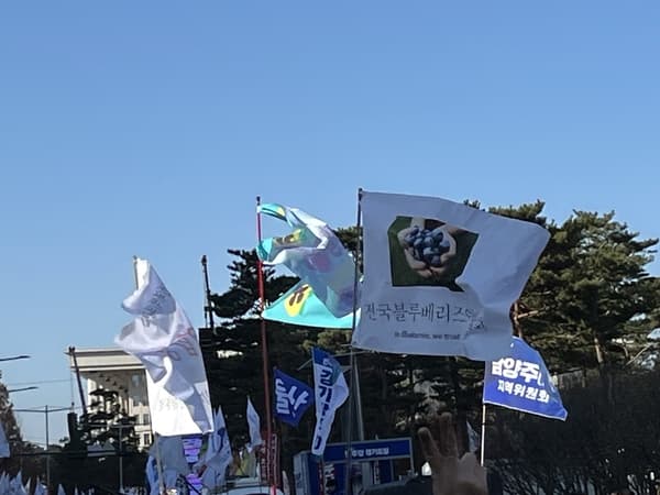 전국 블루베리즈 연합회