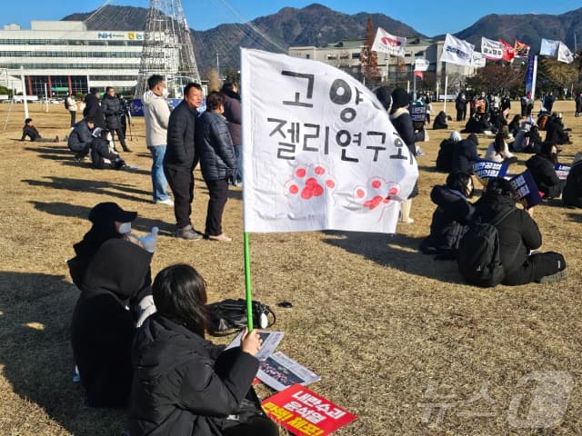 고양이 젤리 연구회